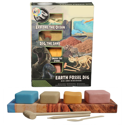 Dinosaur Fossil Dig Set