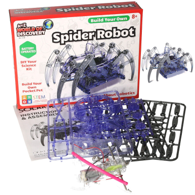 Build Your Own Spider Robot
