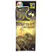 Dinosaur Excavation 3D Kit in CDU (12 asstd) Dinosaur Excavation 3D Kit in CDU (12 asstd)